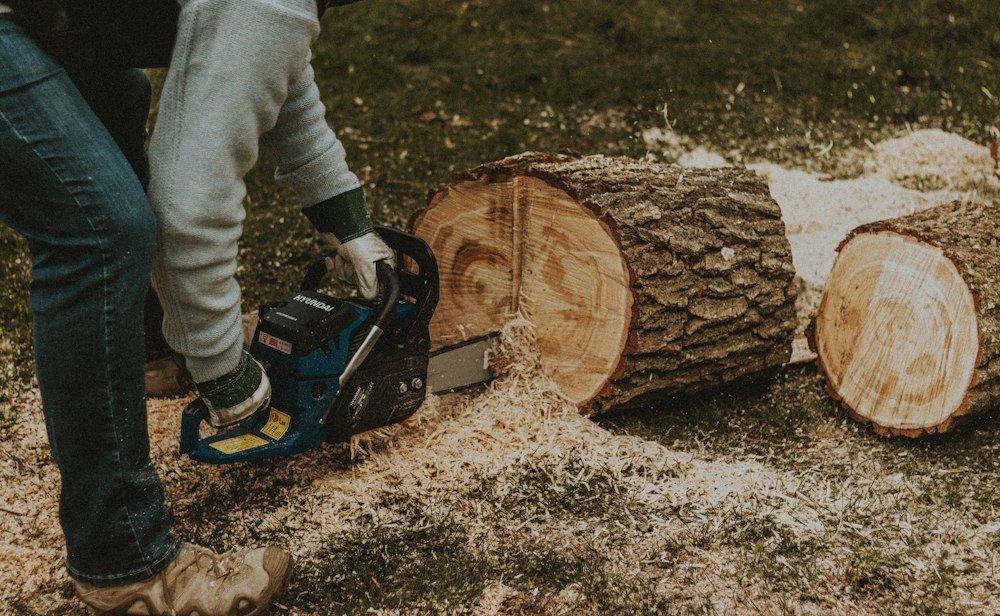 A chainsaw cutting through a tree trunk, sawdust spraying