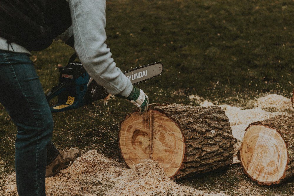 Hands gripping a chainsaw beside a felled trunk during a removal